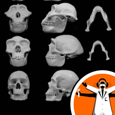 Naked Scientists Special Editions Podcast