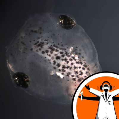 Naked Scientists Special Editions Podcast