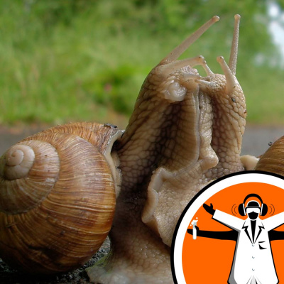 Naked Scientists Special Editions Podcast