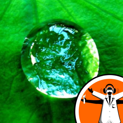 Naked Scientists Special Editions Podcast