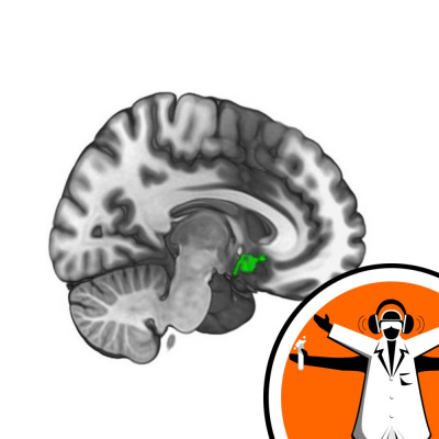 Naked Scientists Special Editions Podcast