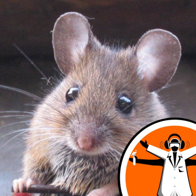 Naked Scientists Special Editions Podcast