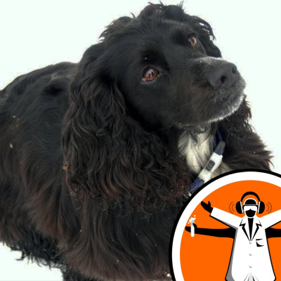 Naked Scientists Special Editions Podcast