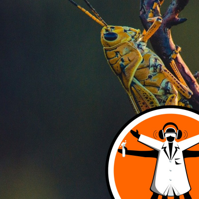 Naked Scientists Special Editions Podcast