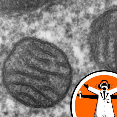 Naked Scientists Special Editions Podcast