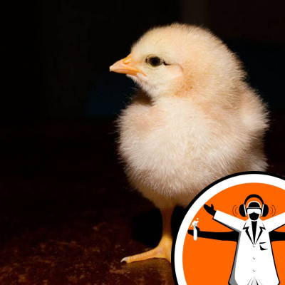 Naked Scientists Special Editions Podcast