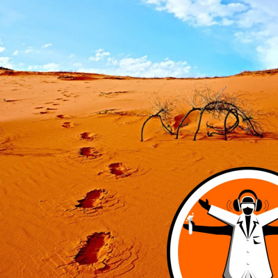 Naked Scientists Special Editions Podcast