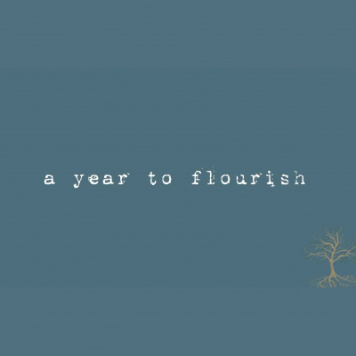 Canvas Church Mankato