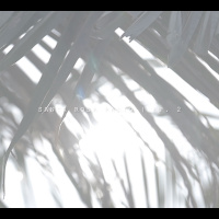 Santa Rosa Radio Ep 2: The Wivez, Drixxie, Nehemiah, Timeless Brides, Fred De Mercedes, Dean Rive...