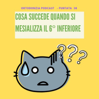 Cosa succede mesializzando il sesto inferiore di 1cm?