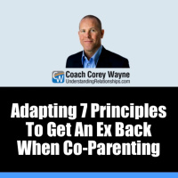 Adapting 7 Principles To Get An Ex Back When Co Parenting