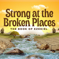 Accept No Substitutes