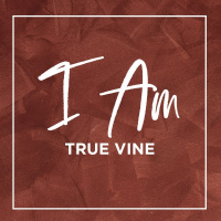I AM the True Vine | Sebastiaan van Wessem
