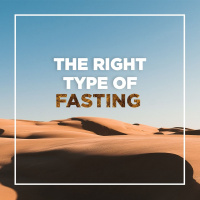 The Right Type of Fast | Sebastiaan van Wessem