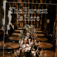 Harvest is Here | Sebastiaan, Ittyuel  Vince.