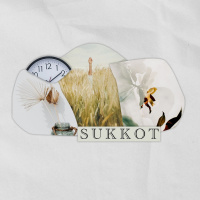 SUKKOT (ENG) | Sebastiaan van Wessem