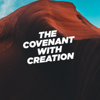 Covenant with Creation | Selina Rebel