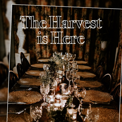 Thousand Hills English Podcast