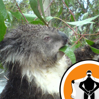 Naked Scientists NewsFLASH 21.12.09 - Soggy Super-Earths and Deep Sea Volcanoes