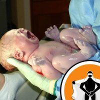 Naked Scientists NewsFLASH 09.11.09 - Born with a French Accent