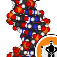 Naked Scientists NewsFLASH 30.03.09 - Artificial DNA and Treating TB