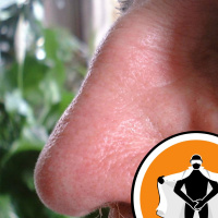 Naked Scientists NewsFLASH 16.11.09 - Reading Old Books with your Nose