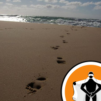 Naked Scientists NewsFLASH 02.03.09 - First Footprints and Fossil Fish Sex