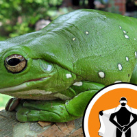 Naked Scientists NewsFLASH 03.05.10 - A Genetic Hop Forward