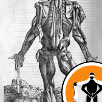 Naked Scientists NewsFLASH 22.09.08 - Fat, Fungus, Fuel and Fooling Bacteria