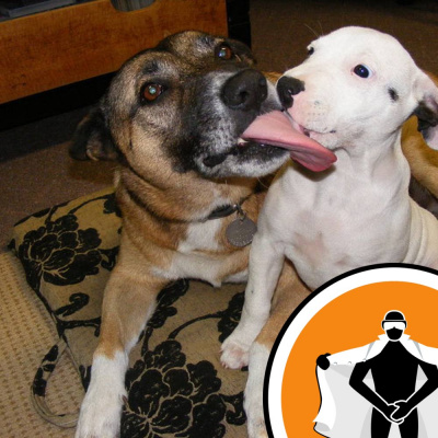 Naked Scientists Newsflash