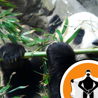 Naked Scientists Newsflash