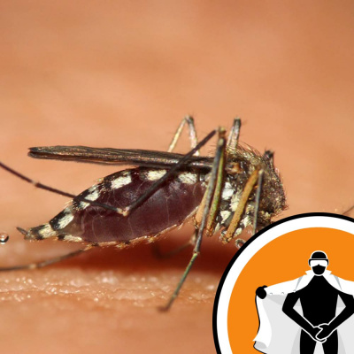 Naked Scientists Newsflash