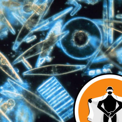 Naked Scientists Newsflash