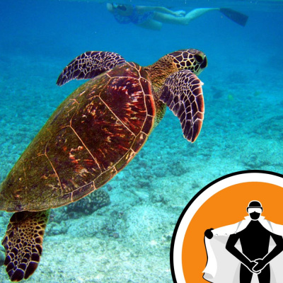 Naked Scientists Newsflash