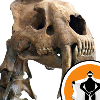 Naked Scientists Newsflash