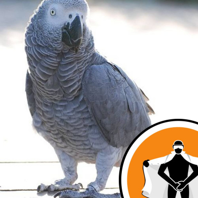 Naked Scientists Newsflash