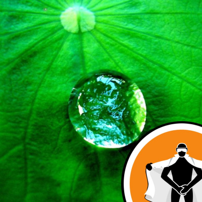 Naked Scientists Newsflash