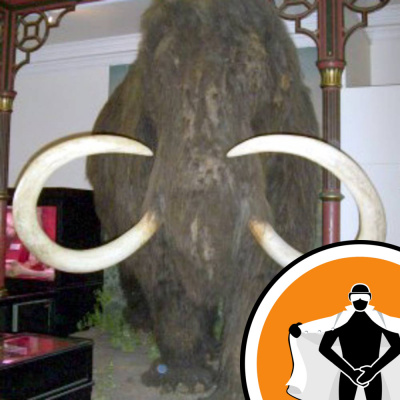 Naked Scientists Newsflash