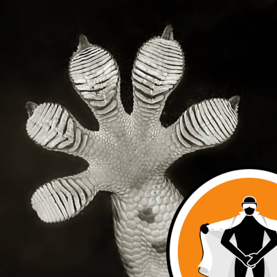 Naked Scientists Newsflash