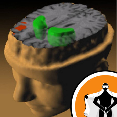 Naked Scientists Newsflash