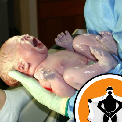 Naked Scientists Newsflash