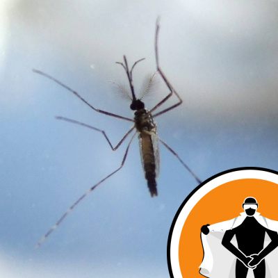 Naked Scientists Newsflash