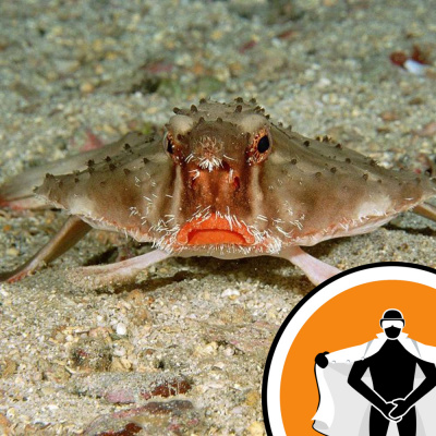 Naked Scientists Newsflash