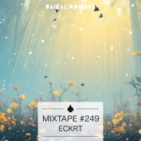 Mixtape #249 by ECKRT