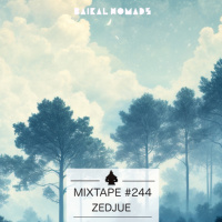 Mixtape #244 by Zedjue