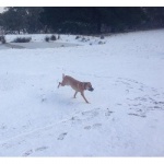 Mindfulness For Psychology