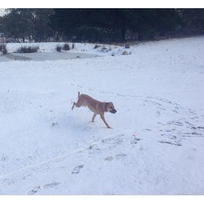 Mindfulness For Psychology