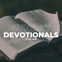 The Person and Work of the Holy Spirit (Sunday Devotion)