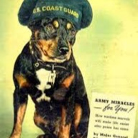 Episode 51 - The Dogs (and bear) of War