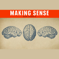 #234 - The Divided Mind